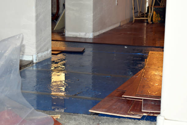 Professional Flood Damage Repair technician working in Fletcher, MO
